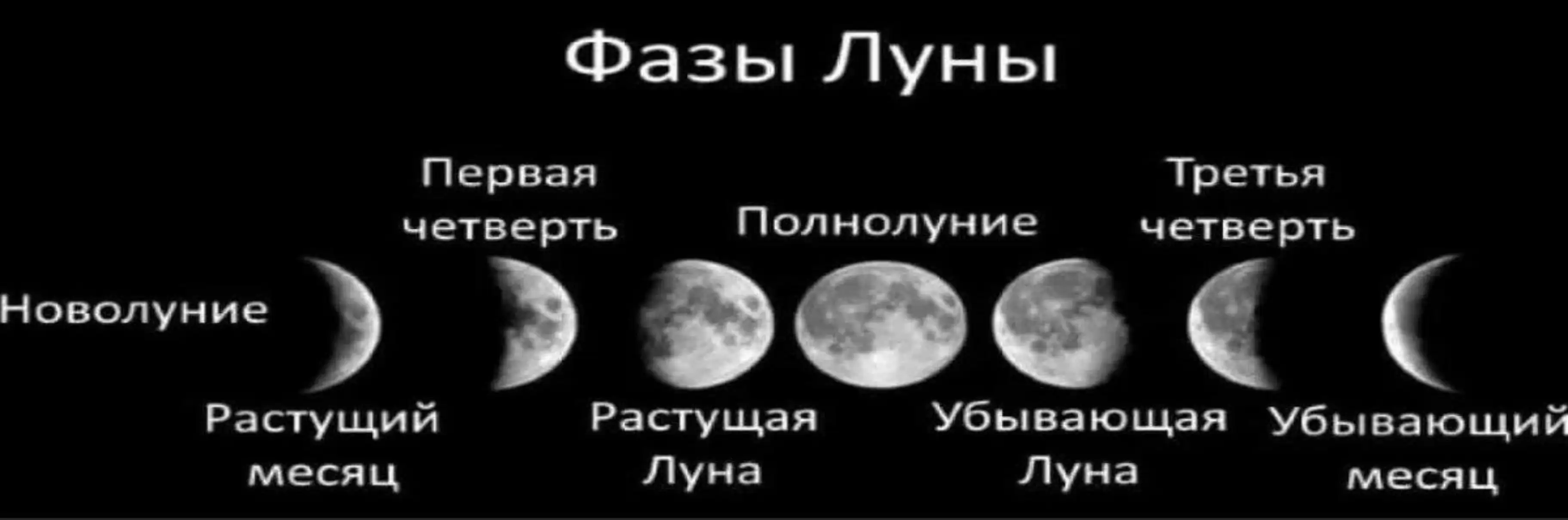 фазы луны календарь 2024